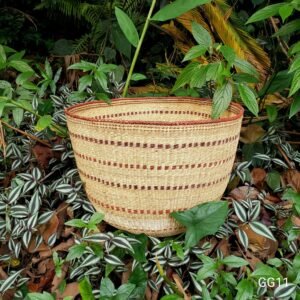 Cesto Wii Yanomami - GG11 - 51 x 41 cm
