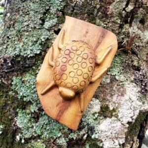 Inseto Imaginário nº 04 - Elosman - 20 x 12 x 4 cm