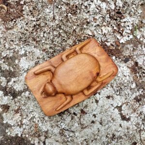 Inseto Imaginário nº 09 - Elosman - 18 x 11 x 4 cm