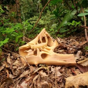 Tronco com Bicho nº 02 - 27 x 27 x 17 cm