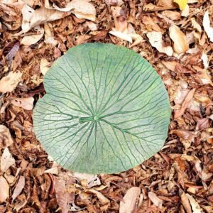 Descanso Vitória Régia - Verde - 30 x 30 cm