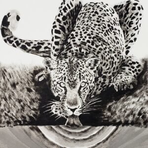 Desenho Wesley nº 08 - Onça Bebendo Água - 42 x 30 cm