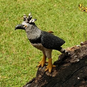 Gavião Real Macuxi P - 7 x 4 x 7 cm