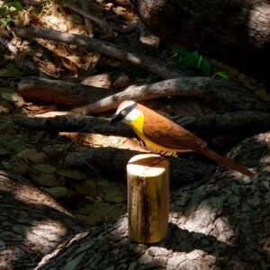 Pássaro no Tronco nº 7 - 18 x 5 x 18 cm