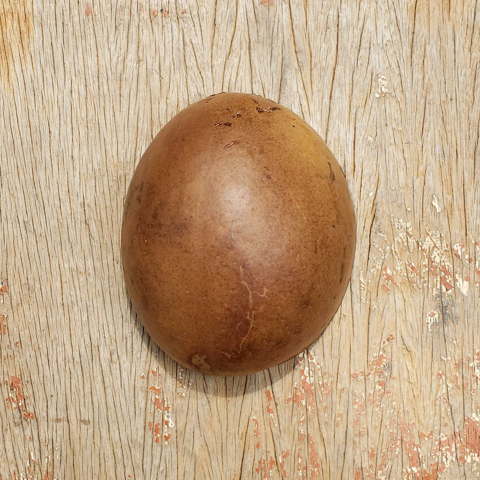 20250926_165215
